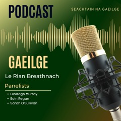 An Gaeilge