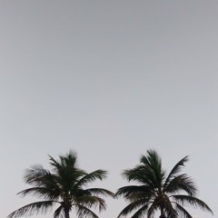 Set sunset