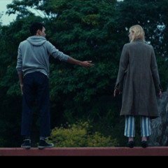 finch-///CarlosFinn-