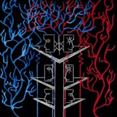 Duality