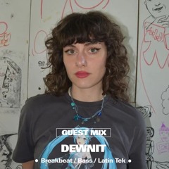 Temple Radio Guest Mix: Dewnit
