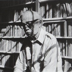 Leprosos y Alienados