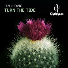 PREMIERE: Ian Ludvig - Turn The Tide (Original Mix) [Caktus]