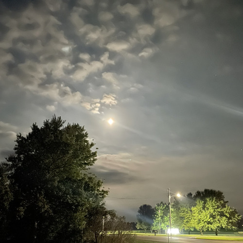 [ROUGH] Rough Demo (Demo) rough mix [DEMO] 1 (rough)