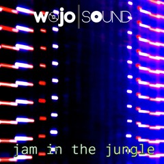 WojoSound - Jam in the Jungle live mix