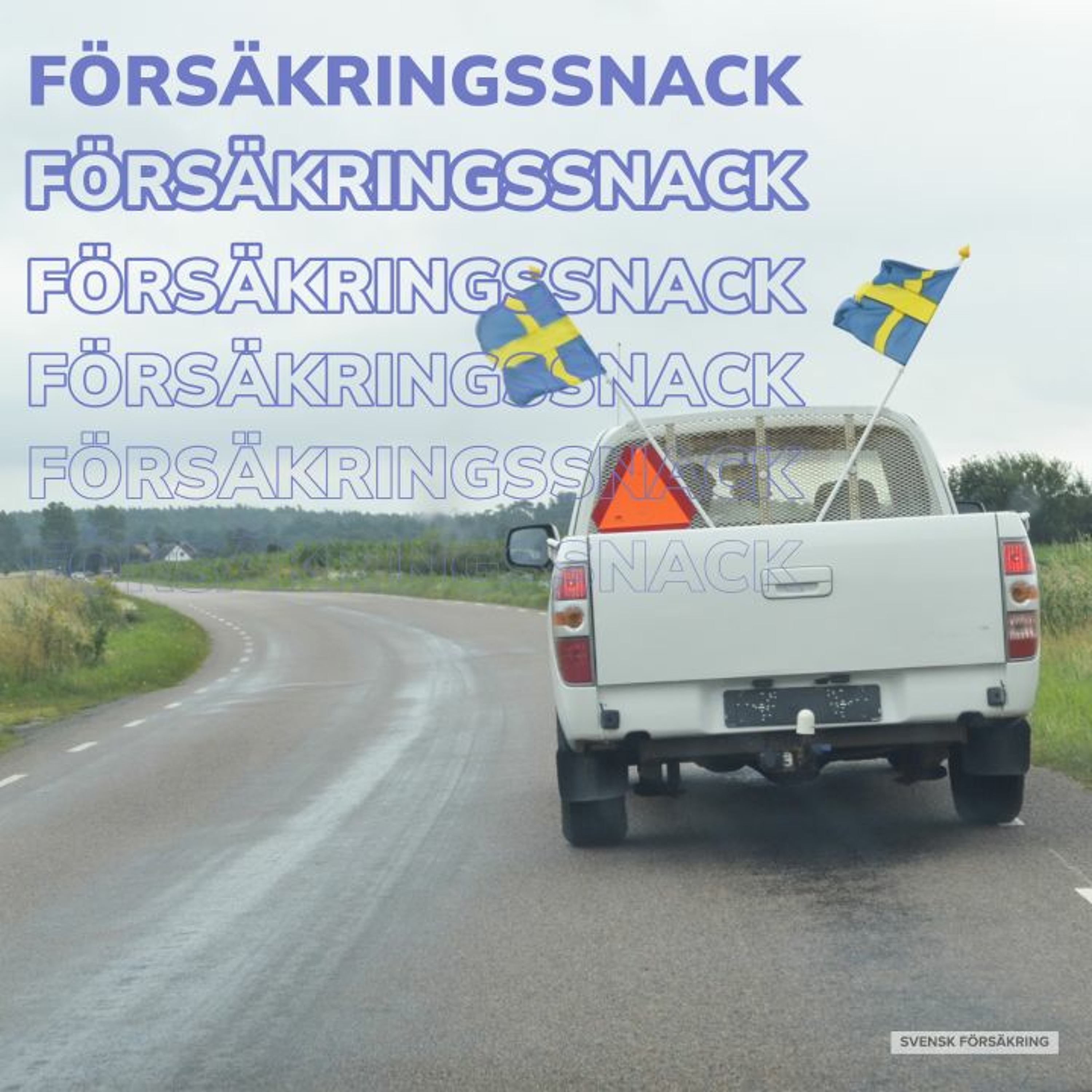 Försäkringssnack