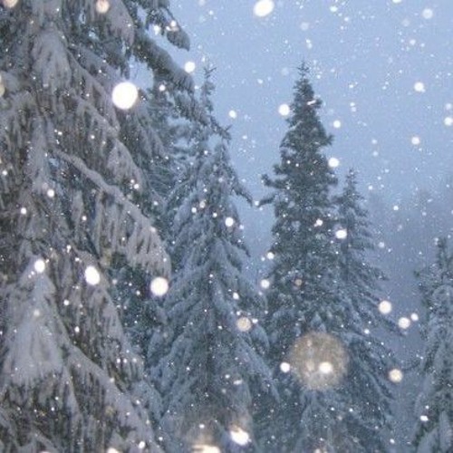 Watching Snowflakes Fall/The Strange Place We Find Ourselves/Watching Snowflakes Fall Reprise