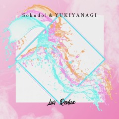 Sokudo! & YUKIYANAGI - Luv Redux