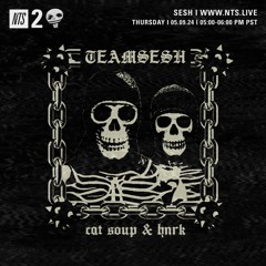 TeamSesh NTS 9th May 2024: cat soup & hnrk