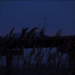 mexican dream slowed