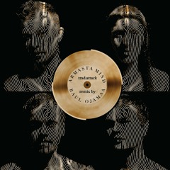 Trad!Attack feat. Vaiko Eplik - Armasta mind (Raul Ojamaa remix)