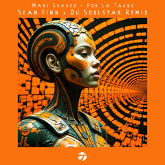 Por La Tarde (Sean Finn & DJ Soulstar Remix)