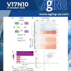 Alpha-Synuclein Triggers Early Gene Expression Changes in Parkinson’s Disease Model