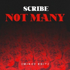[FREE DL] Scribe - Not Many (Mincy Edit)