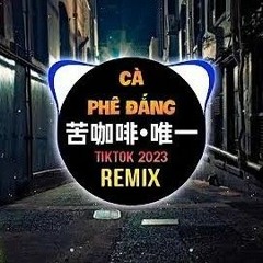 KKECHO _ 那奇沃夫 - 苦咖啡DJ REMIX 【动态歌词_LYRICS VIDEO】.mp3
