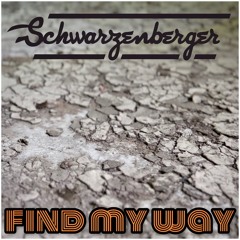 Schwarzenberger - Find My Way