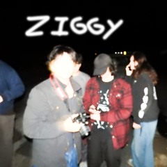 THE BADDEST (BADDER) (ZIGGY REMIX)