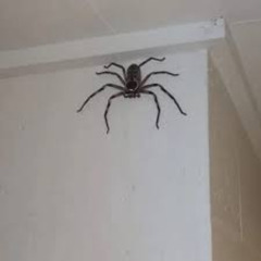 Funky Rap Shit part. 2