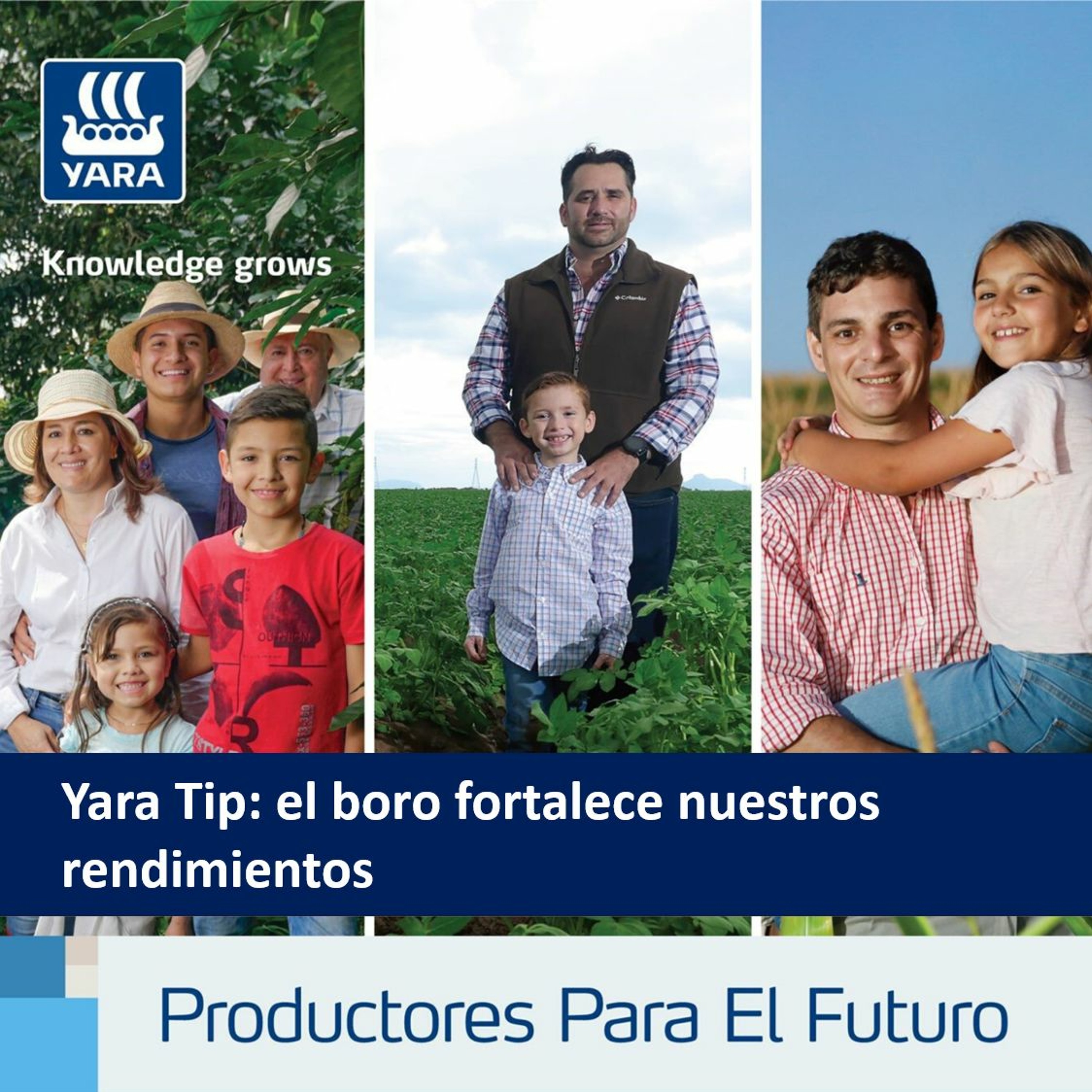 Productores Para El Futuro