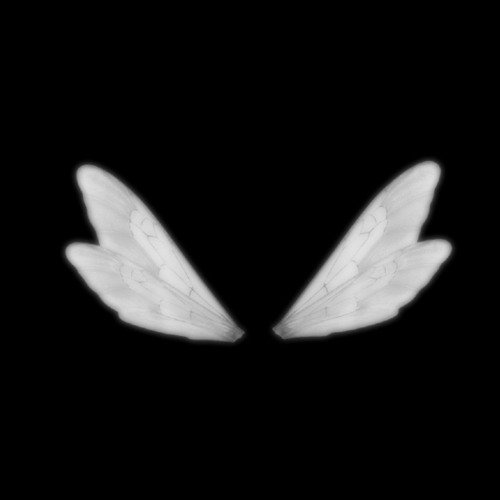 Stream Tinkerbell Syndrome by RaquelCoppola Listen online for free on