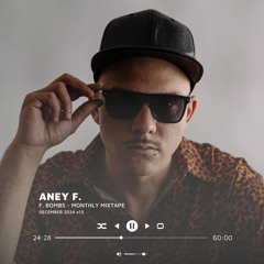 Aney F. presents F. Bombs - Monthly Mixtape - December 2024 - #013