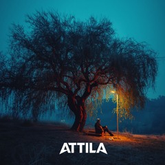 Gide Gide Bir Söğüde Dayandım