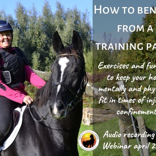 How to benefit from a trainingpause