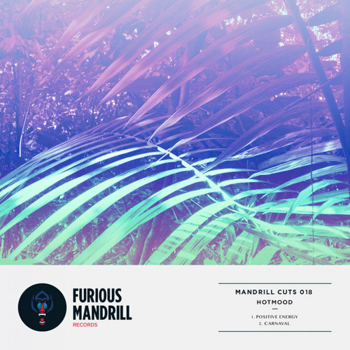 PREMIERE: Hotmood - Positive Energy [Furious Mandrill Records]