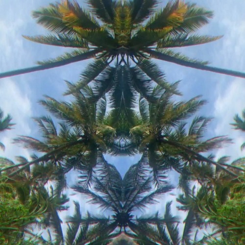 David Hasert - Keep On Shmoovin