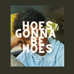 Mini Raps - Hoes Gonna Be Hoes "SEND THIS TO YOUR EX"