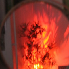 whoallaIN sHALLALA- vallhallaJA-RA