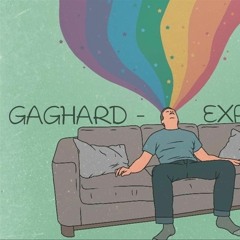 Gaetan Frog - Experience