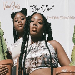 VanJess - Slow Down (Purnell Media Solutions Collective)