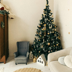 01 REC-2025-12-26 festival winter wind-6