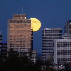 Gold moon (of Tennessee)