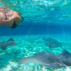 Review Special Price Exclusive Early Bird Komodo Tour Beat the Crowds by Speed Boat