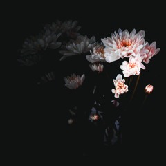 Quiet.