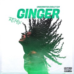 Ginger Remix (Official Audio)