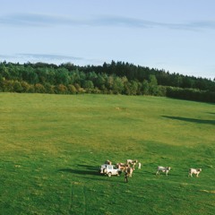 En immersion à la Ferme Renaud - Terre-en-vue