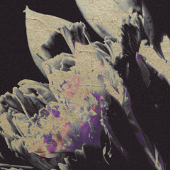 Premiere: Kate Miller - Fenced Fringes | traverse