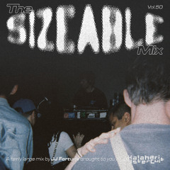 The Sizeable Mix Vol. 50: JJ Fortune