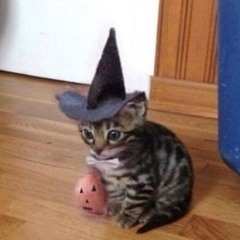 Spooky Mix