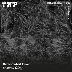 Swallowtail Town w/ BuruN ĐăngA @ Radio TNP 28.10.2023