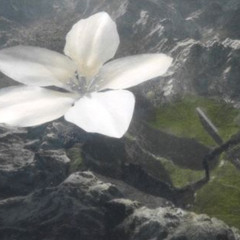 $LUDGEHAMMER - Goslow D R O W N I N G RMX