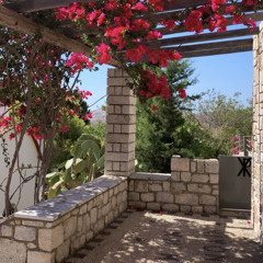 Mimosas in Greece [prod by Foreign Teck]