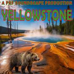 Yellowstone