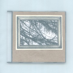 060 — Details of the Ocean with Beau Devereaux (Bridle)