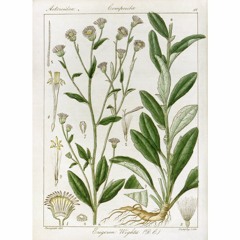 HK_Fantaisies_tracks_13