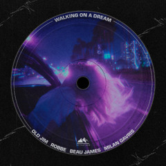 Old Jim, Robbe, Beau James, Milan Gavris - Walking On A Dream