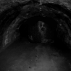 Collab 2️⃣3️⃣